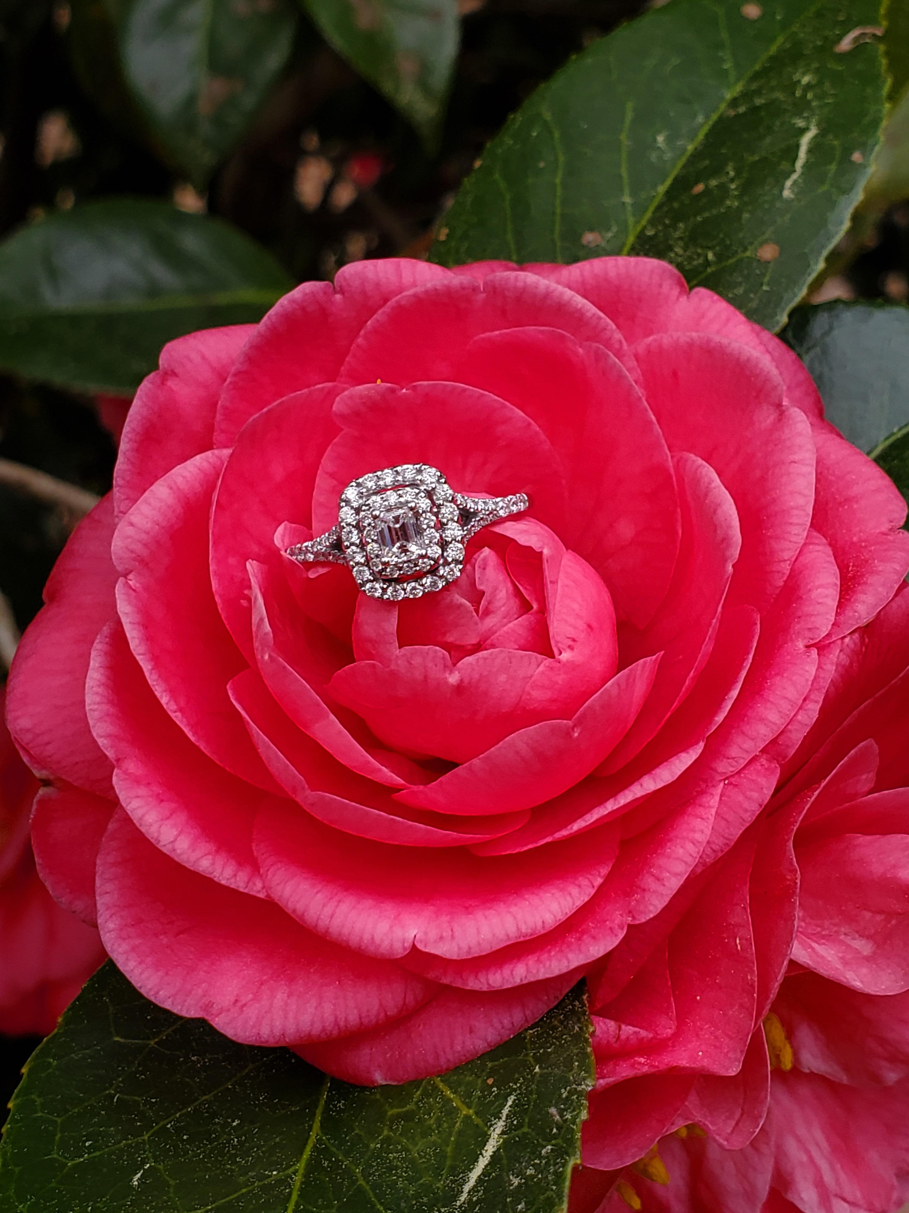 The Wedding Website of Emily Jackson and Zack Felton