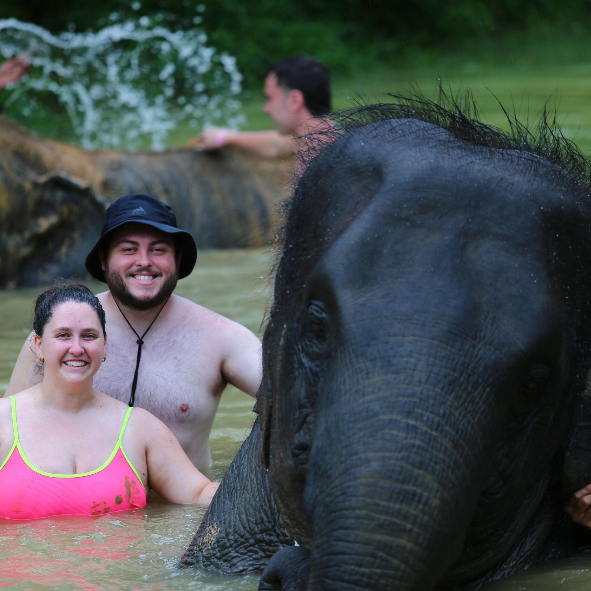 Bathing Elephants - Thailand