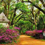 Visit St. Francisville, Louisiana
