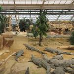 La ferme aux crocodiles