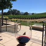 JUSTIN Vineyards & Winery