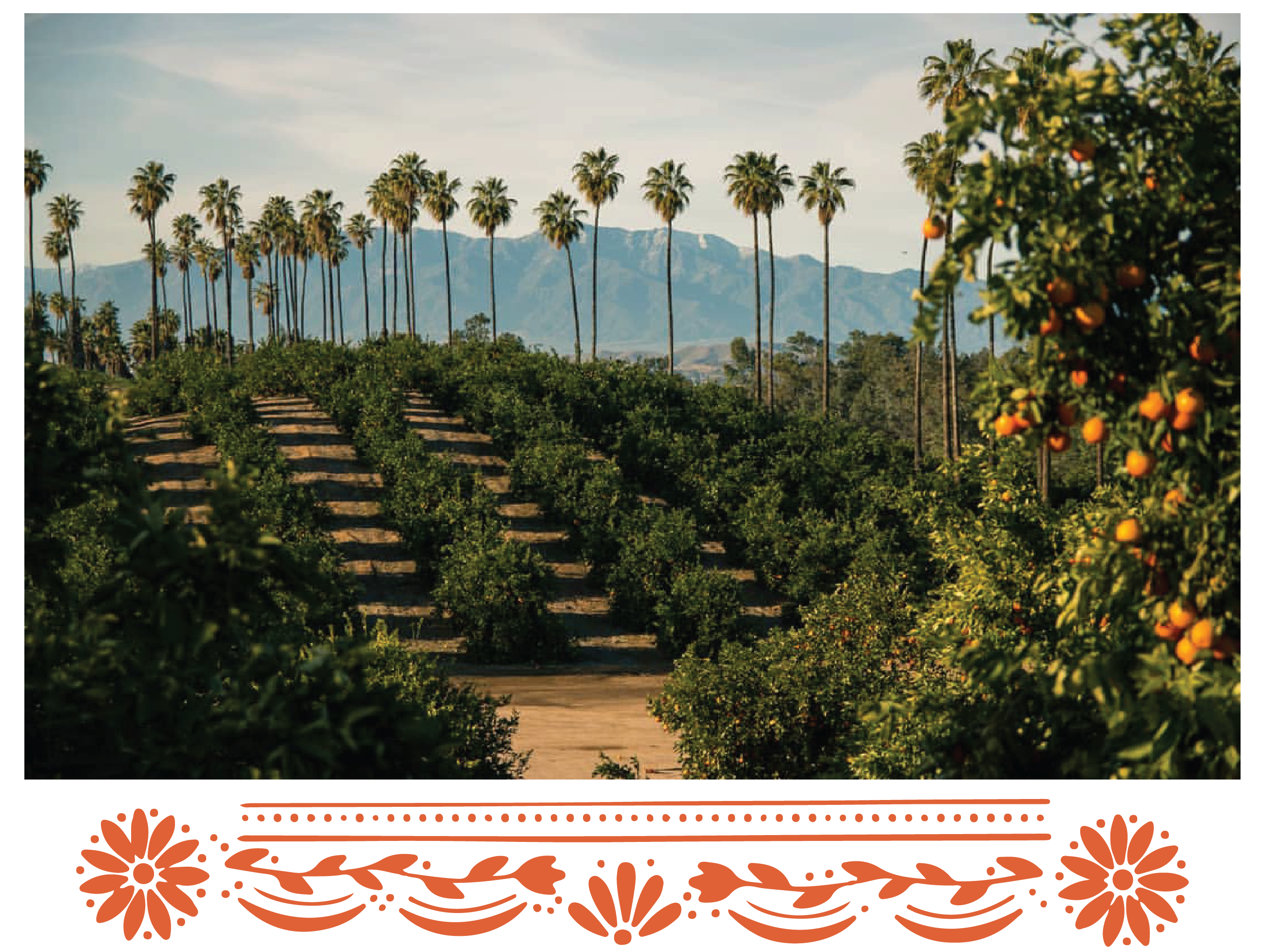 The Wedding Website of Megan Clark and Tony Estrada