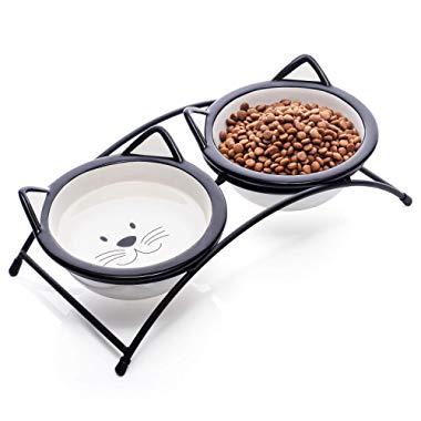 Y YHY Ceramic Raised Pet Cat Bowls, 12 Ounces Elevated Food or Water Bowls, Double Cat Dishes, Gift for Cat
