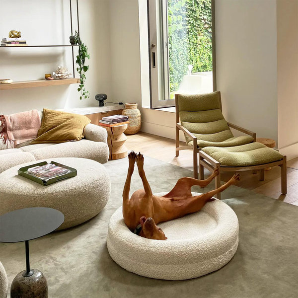 BarneyCurl Bed