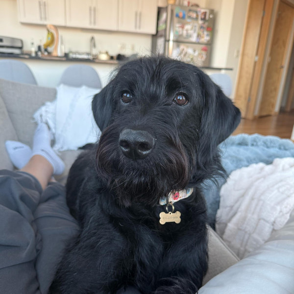 Our Luna Fund