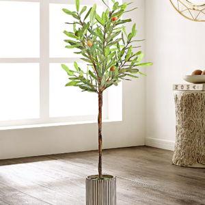 Safavieh - Potted Tree / Árbol en Maceta