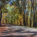 North Oconee River Greenway