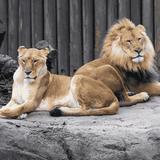 Cleveland Metroparks Zoo
