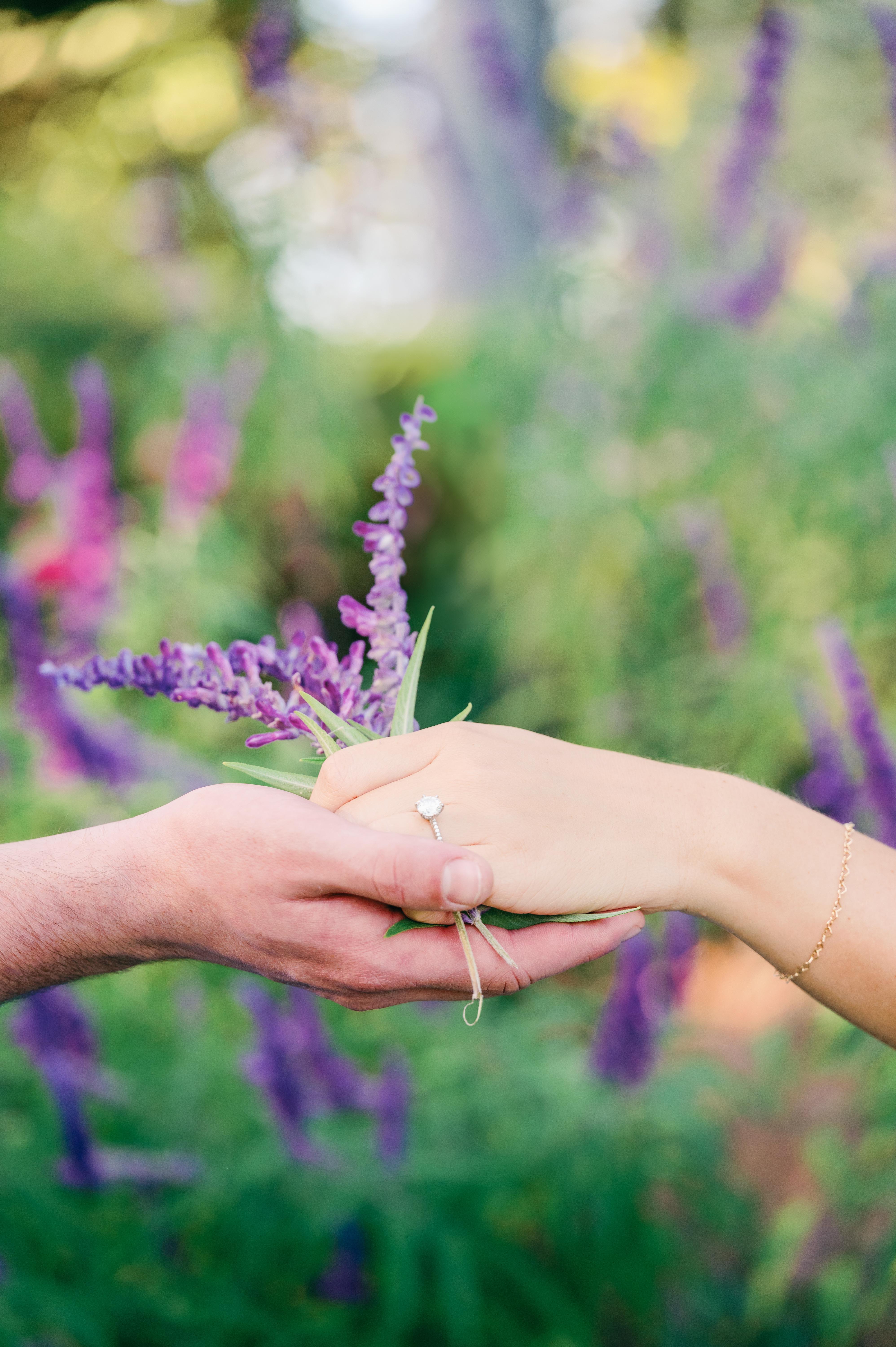The Wedding Website of Isabel Hofmann and Jeb Smith