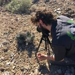 Cactus Watching