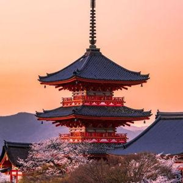 Our Japan Honeymoon Fund