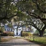 Boone Hall Plantation & Gardens