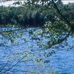 Phippsburg Land Trust