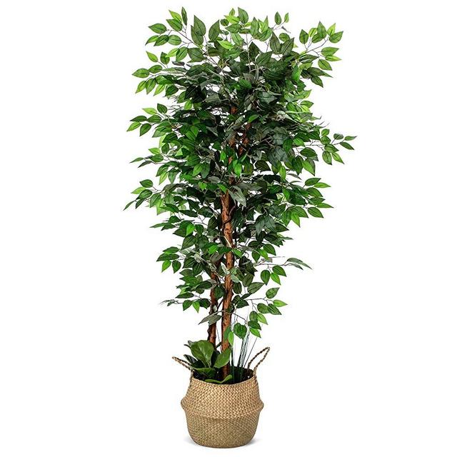 Artificial Ficus Tree, 72 Inches Tall - Fake Floor Plant for Modern Home Decor - Living Room, Bedroom, Balcony - Faux Potted Trees for Indoor or Outdoor - Includes Free Bonus Seagrass Belly Basket