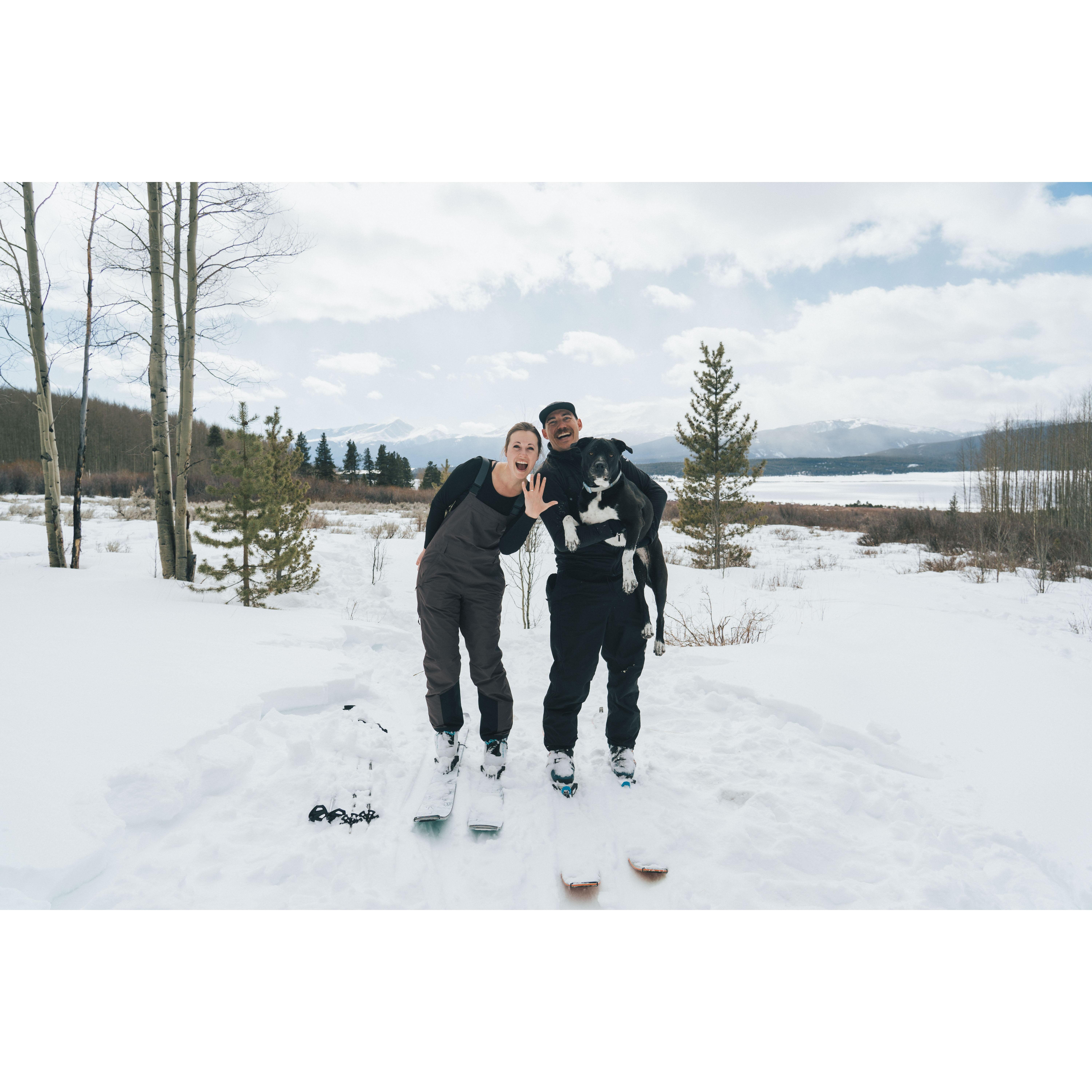 The day Taylor proposed to Sam, while backcountry skiing with their dog, Nova.