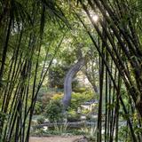 Lotusland