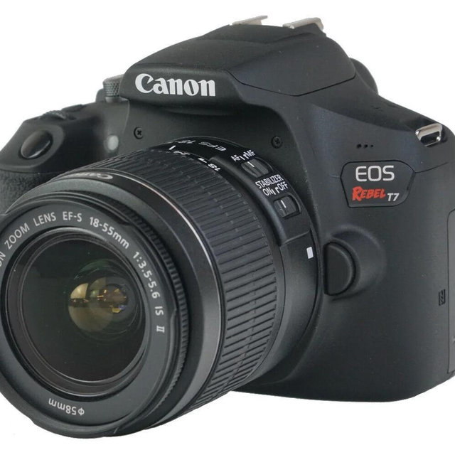 Canon T7