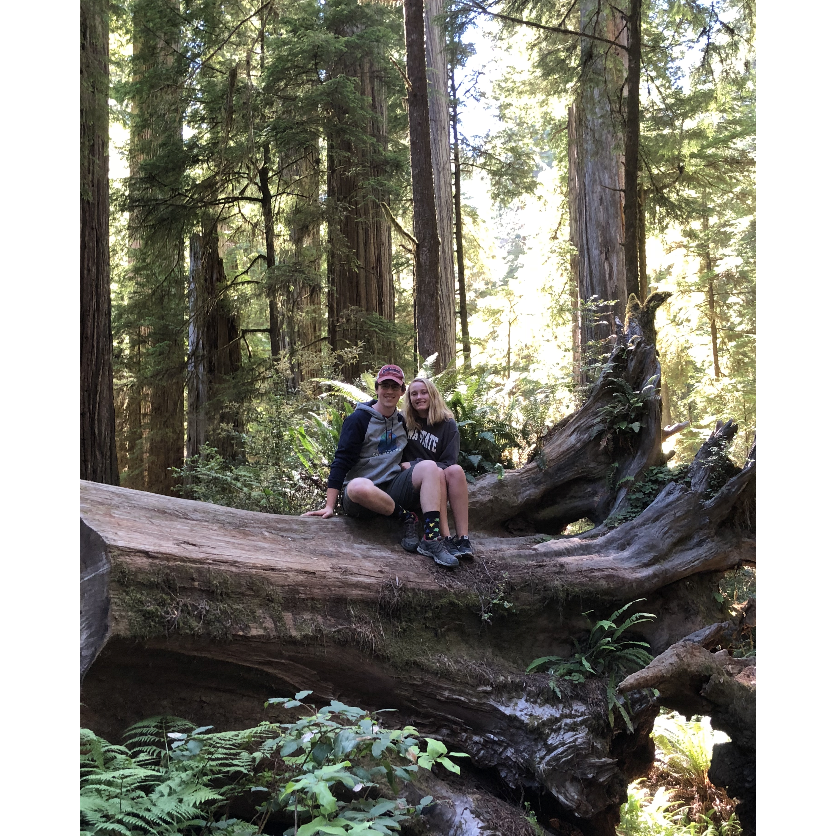 Redwood National Park, CA