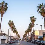 Explore the Venice Area