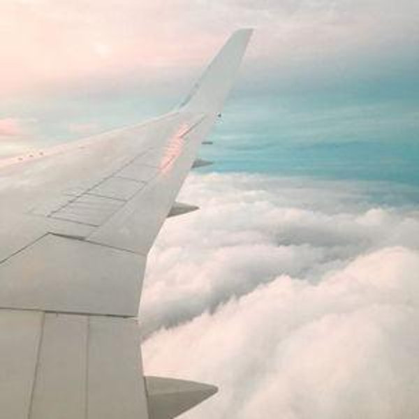Honeymoon Adventure Fund - Venmo