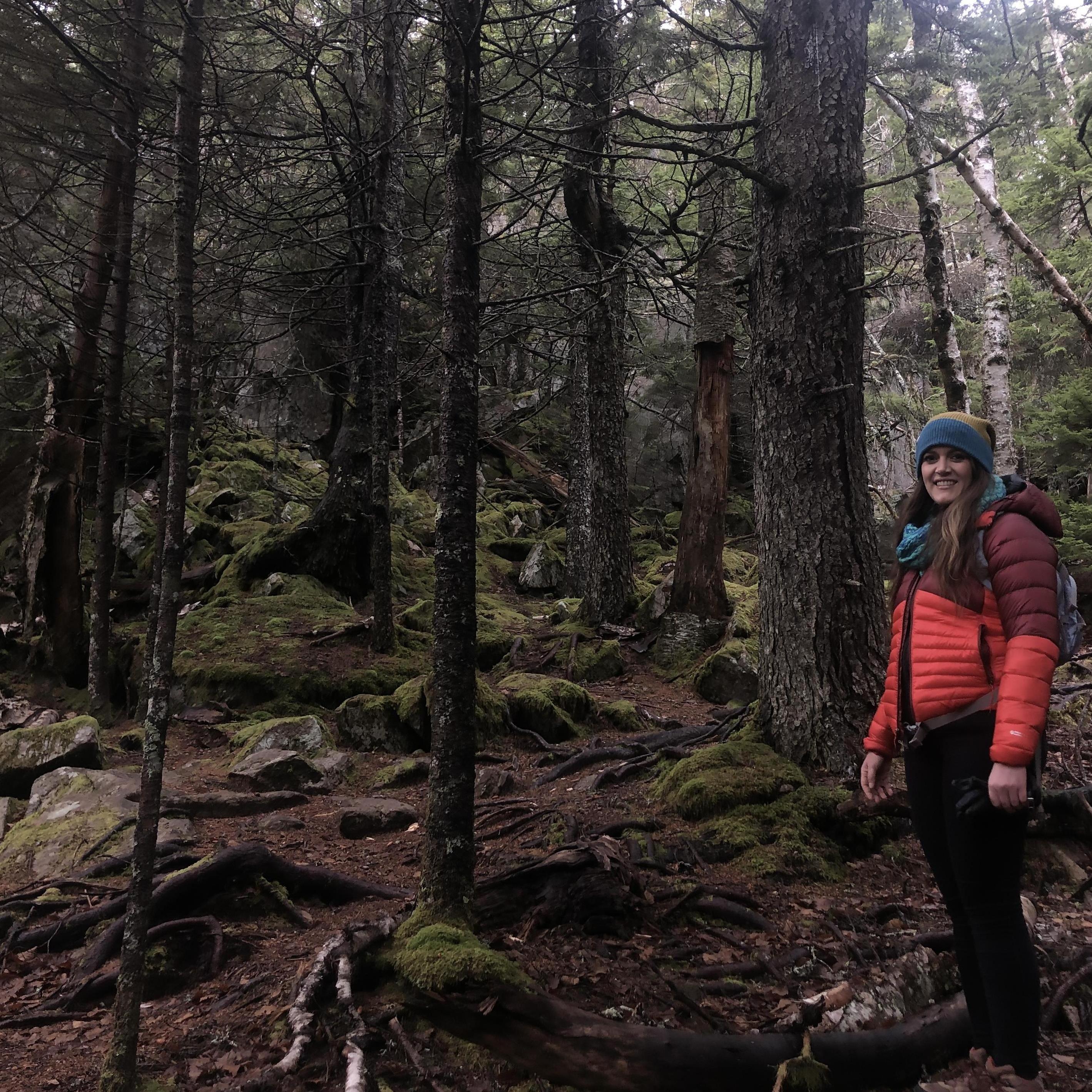 Hiking adventures on Schoodic Peninsula(The day before we got engaged)