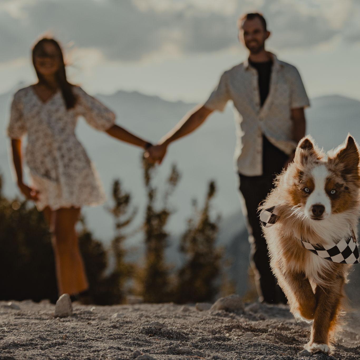 Hero Slideshow Image 1