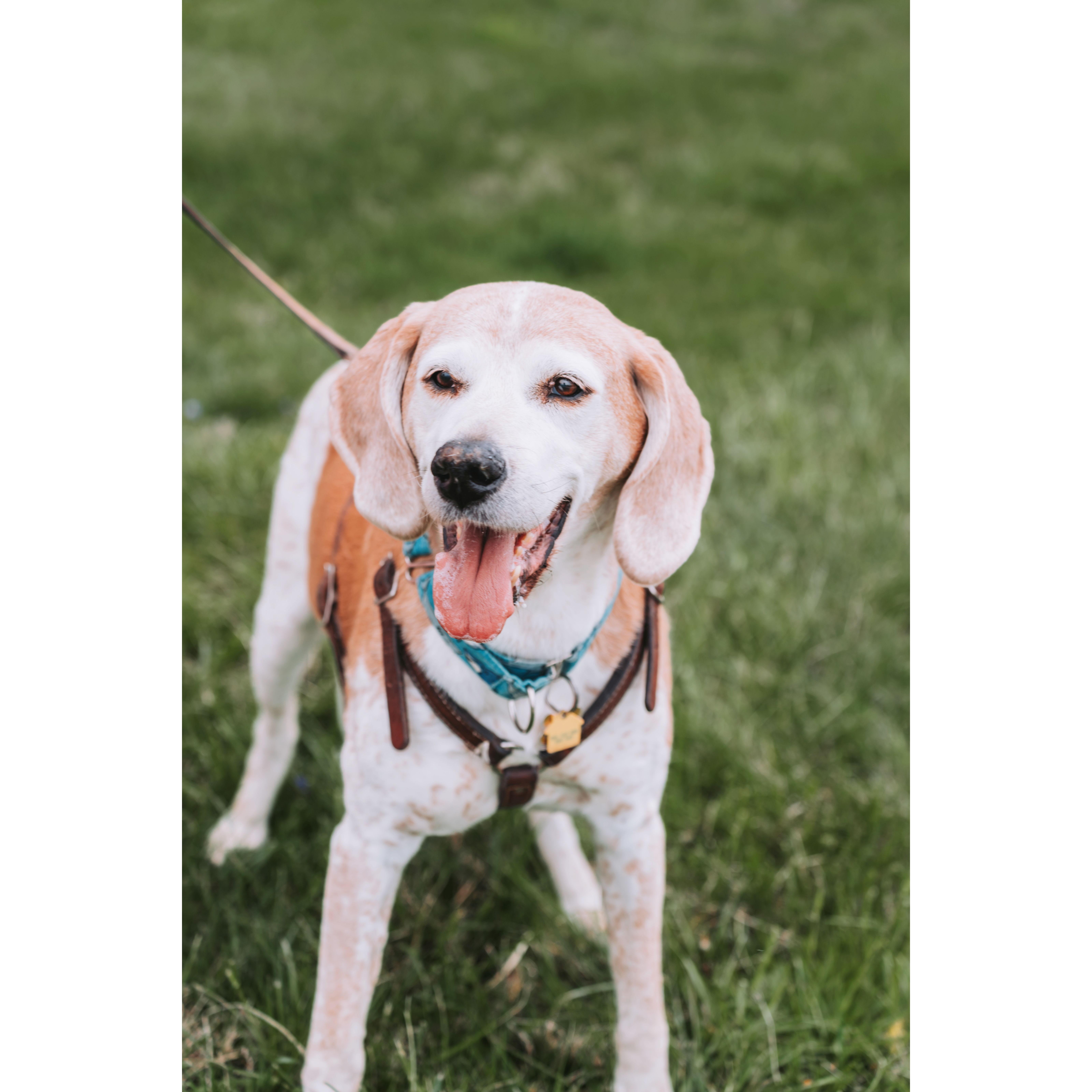 In loving memory of the best boy, who will forever be missed.