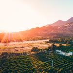 Ojai