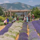 Denver Botanic Gardens Chatfield Farms