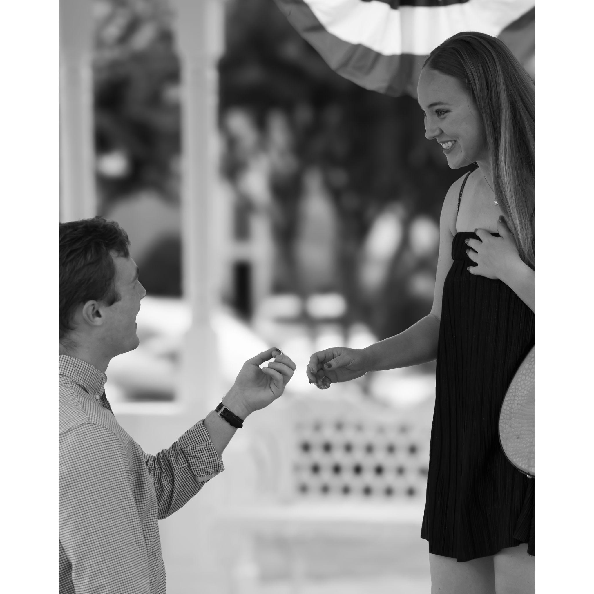 June 22, 2024 : The Engagement