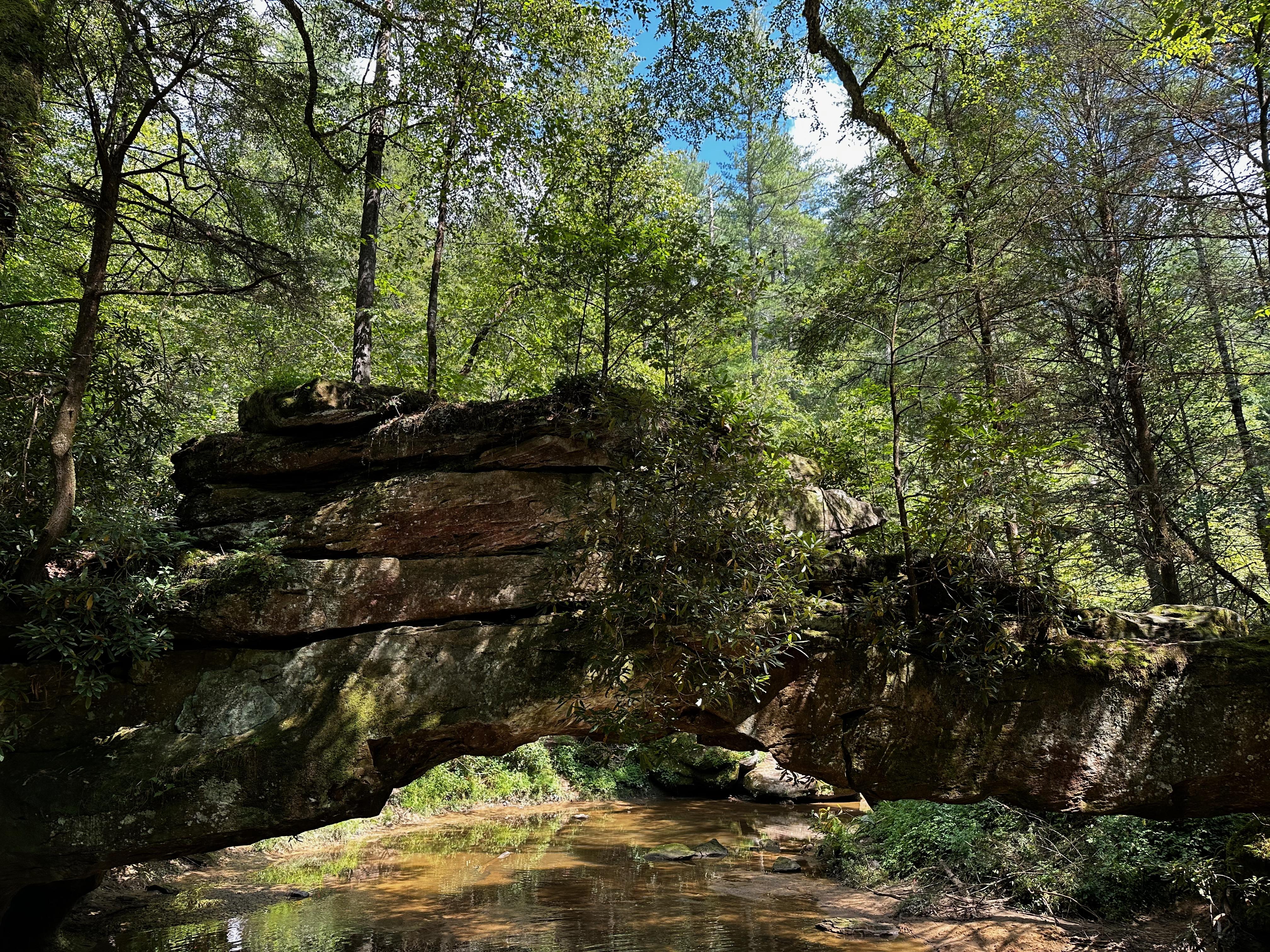 The Wedding Website of Alison Schreiber and Caleb Wilson