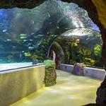 Virginia Aquarium & Marine Science Center