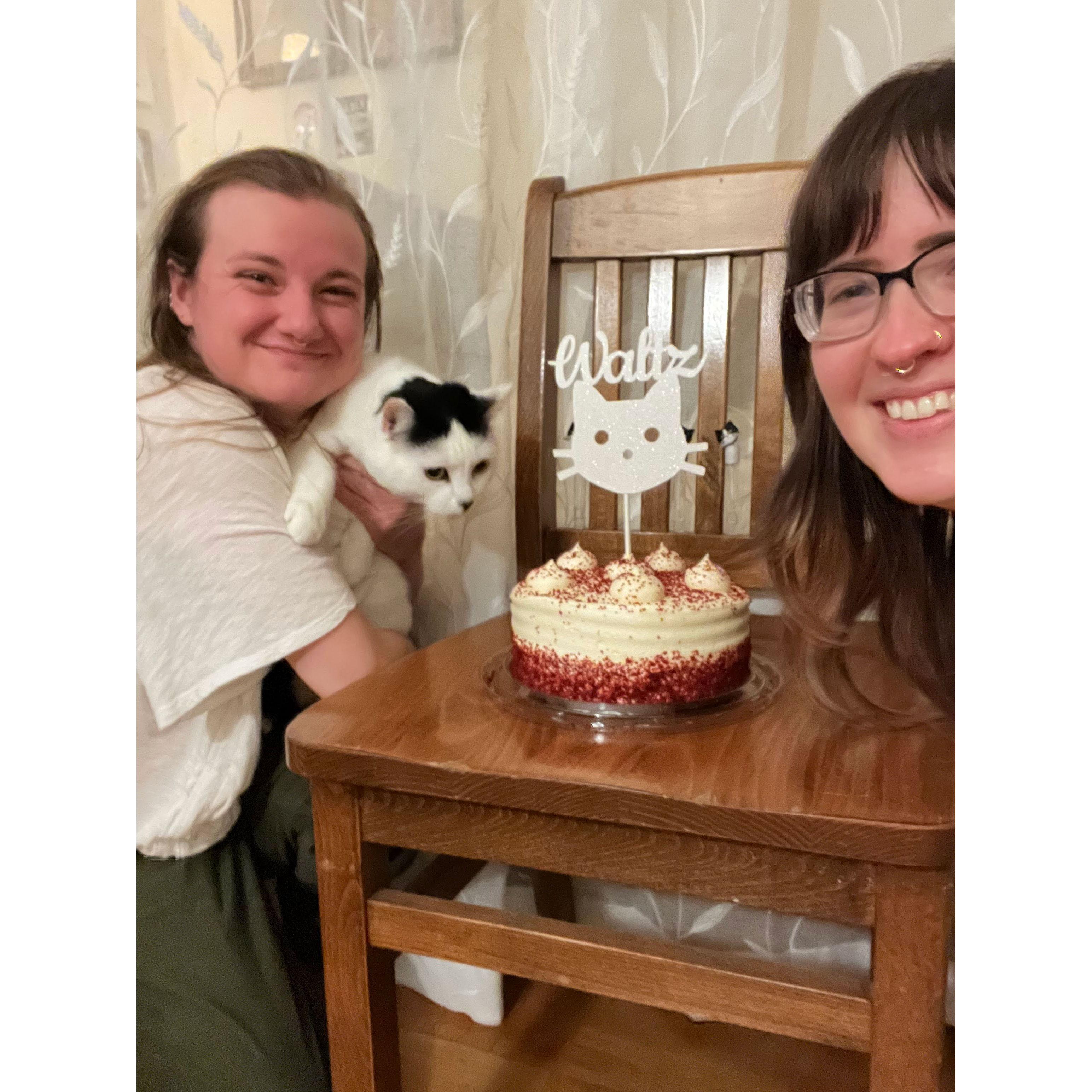 January 2023: celebrating Waltz's 7th birthday!