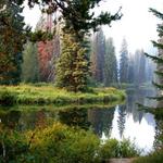 Ponderosa State Park