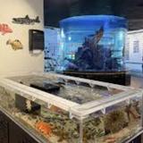 DIPAC Macaulay Salmon Hatchery