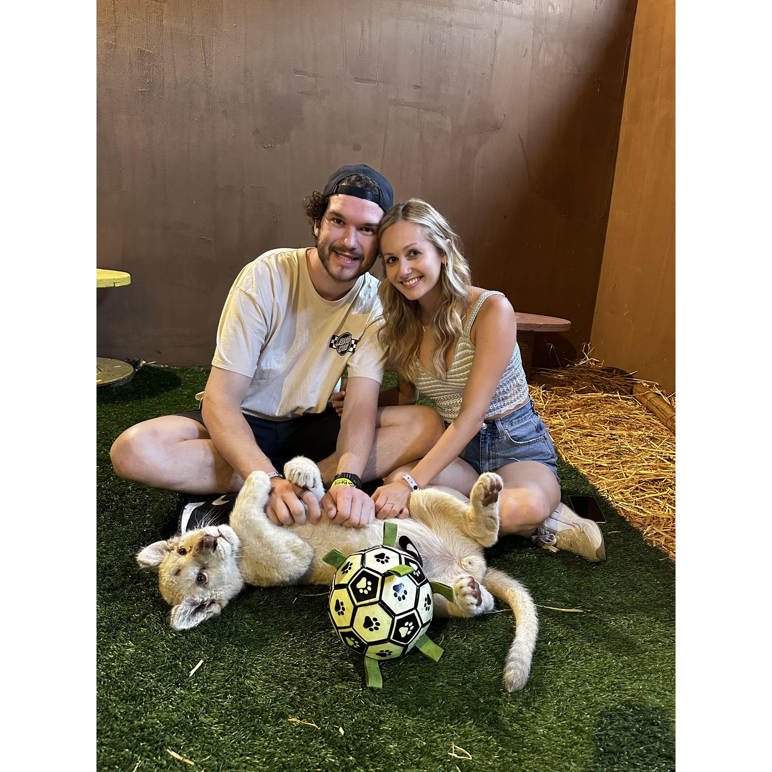 Road trip to Ensenada, where we played with a white lion cub