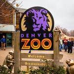 Denver Zoo