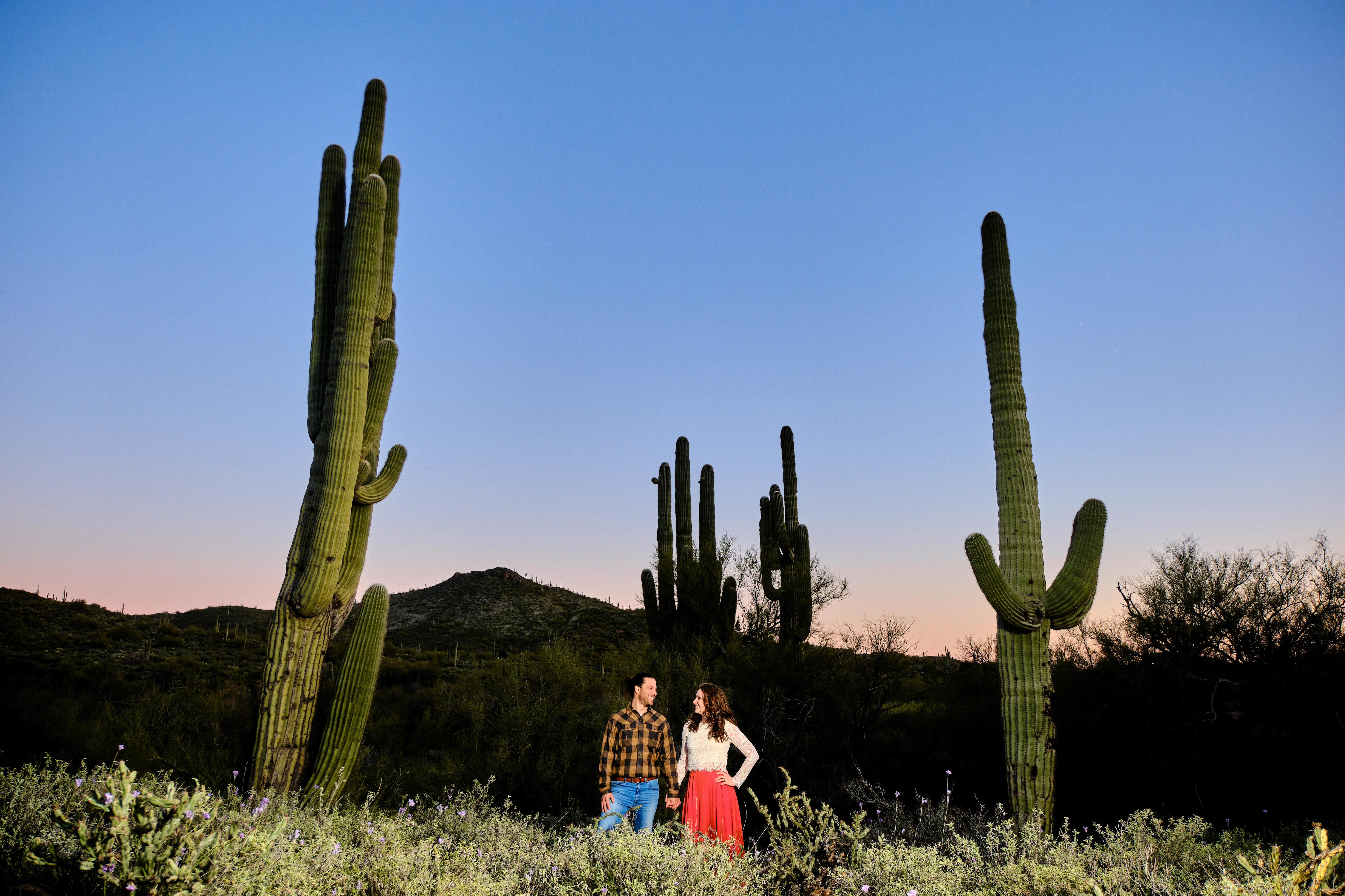 The Wedding Website of Emily Miller and Michael Blaylock