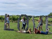 Laurel Lake Vineyards