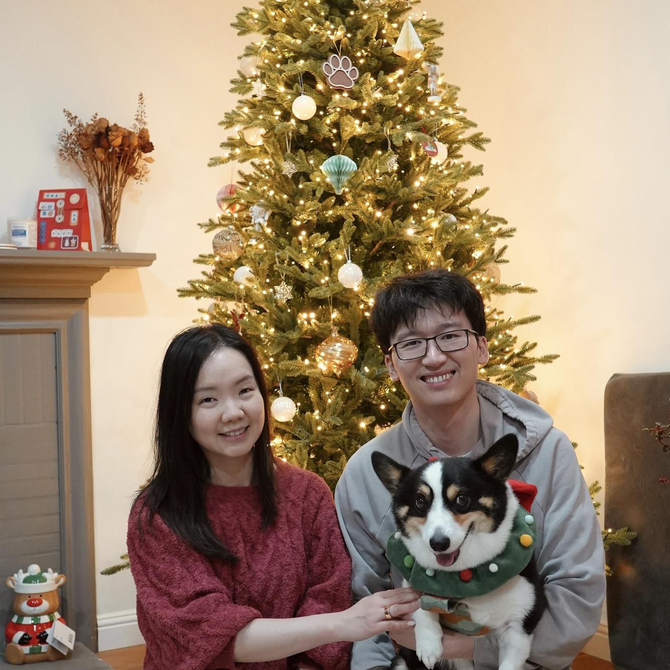 Christmas tree picture at home