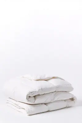 Coyuchi Three Season Down Duvet Insert