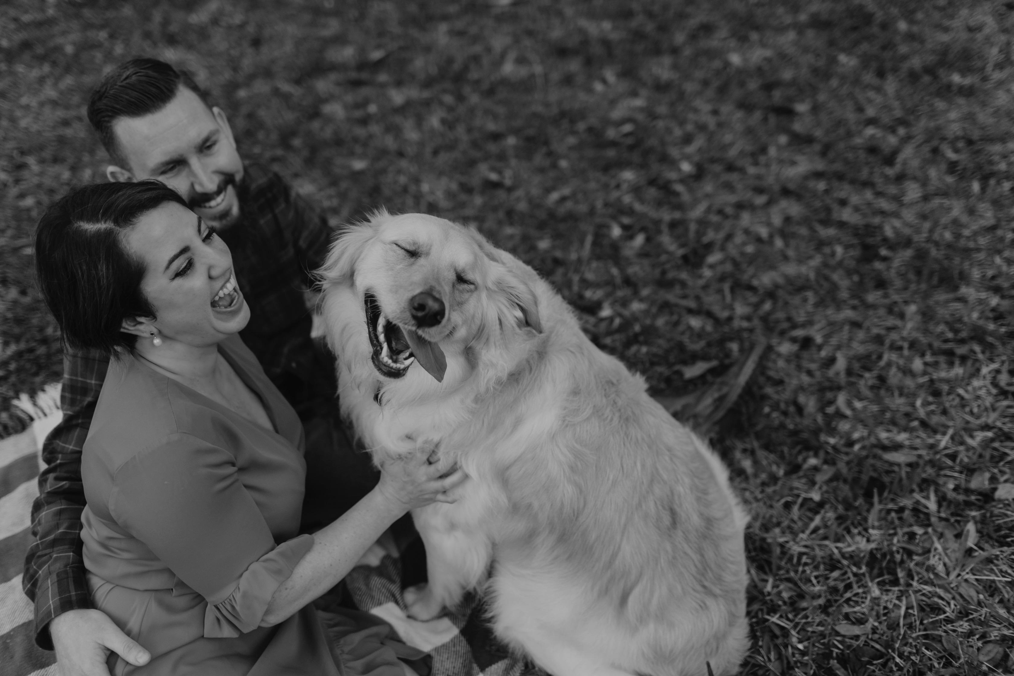The Wedding Website of Ashley Lombardo and Jeffrey Sherman