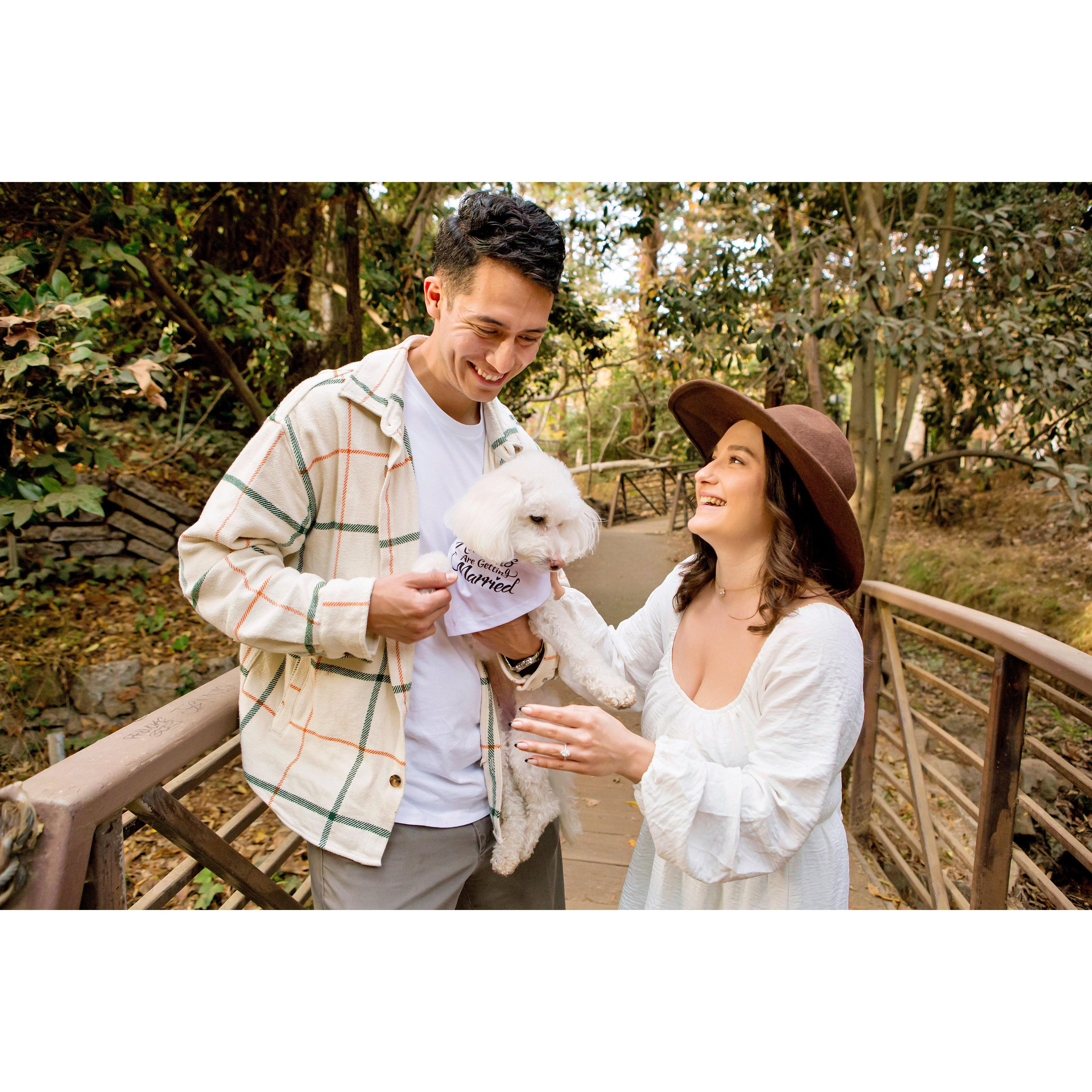 Our little family