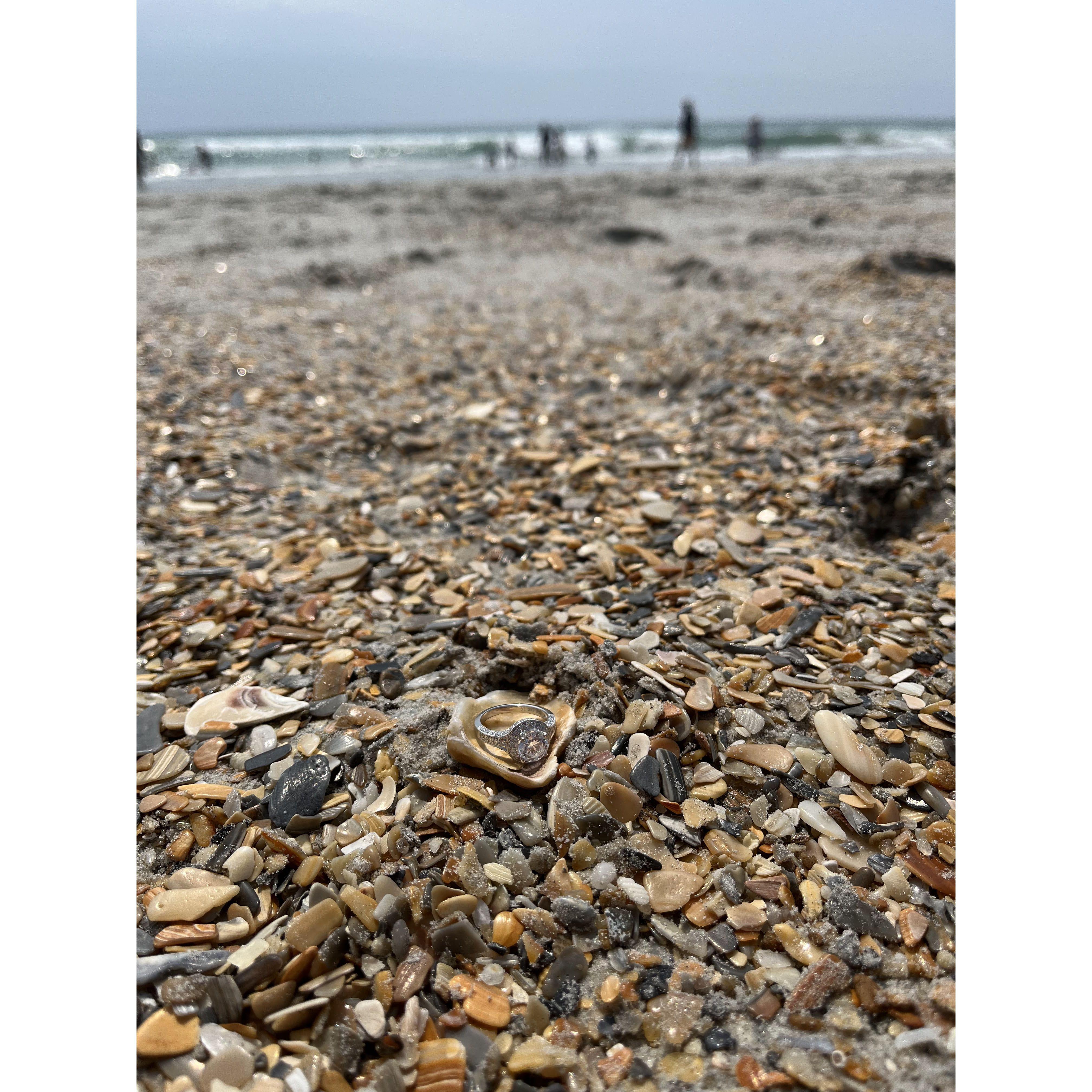 Proposal/Beach Trip - August 2024