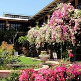 Vallarta Botanical Gardens