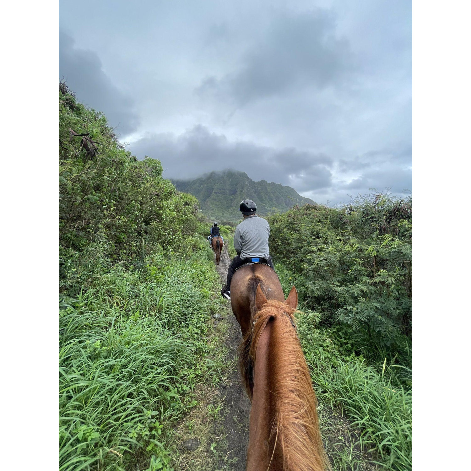 1 out of the 23423524524 times I forced David to go horseback riding with me :)  (This was in the Hawaii)