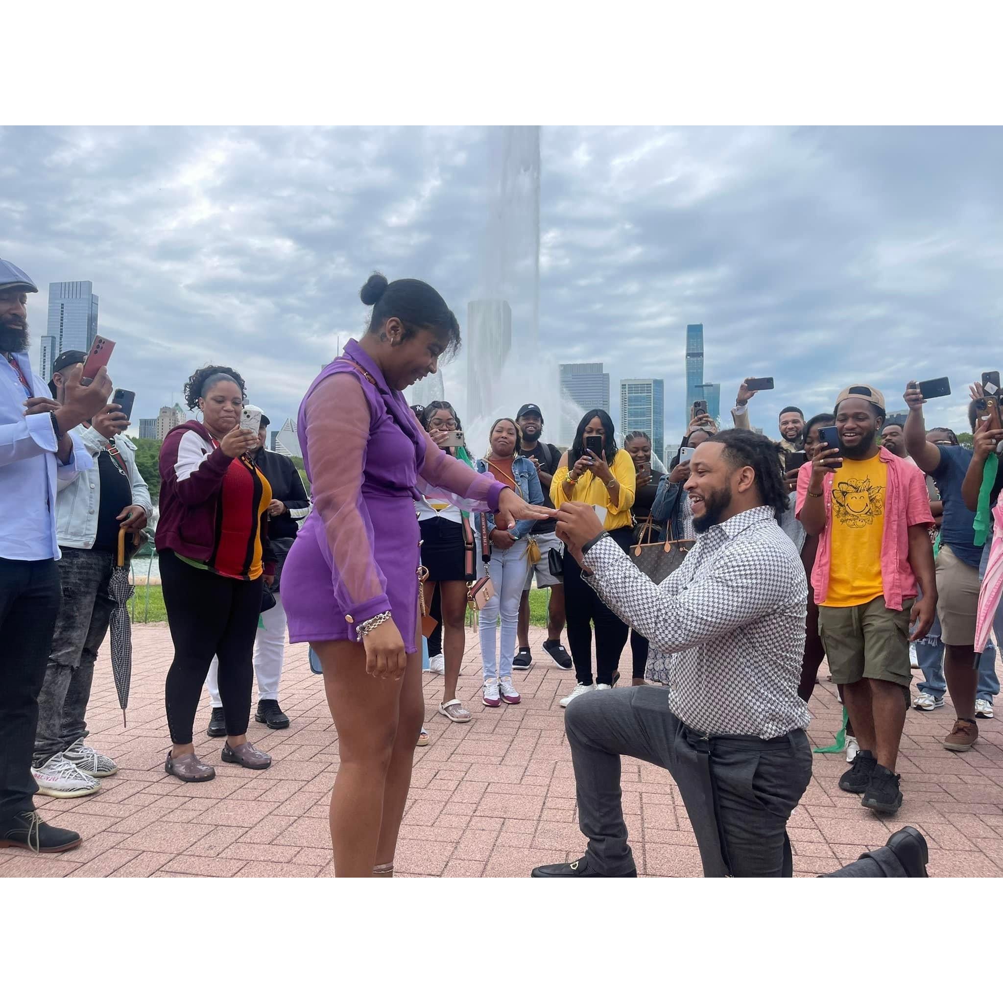 The proposal at Chicago's Buckingham Fountain!