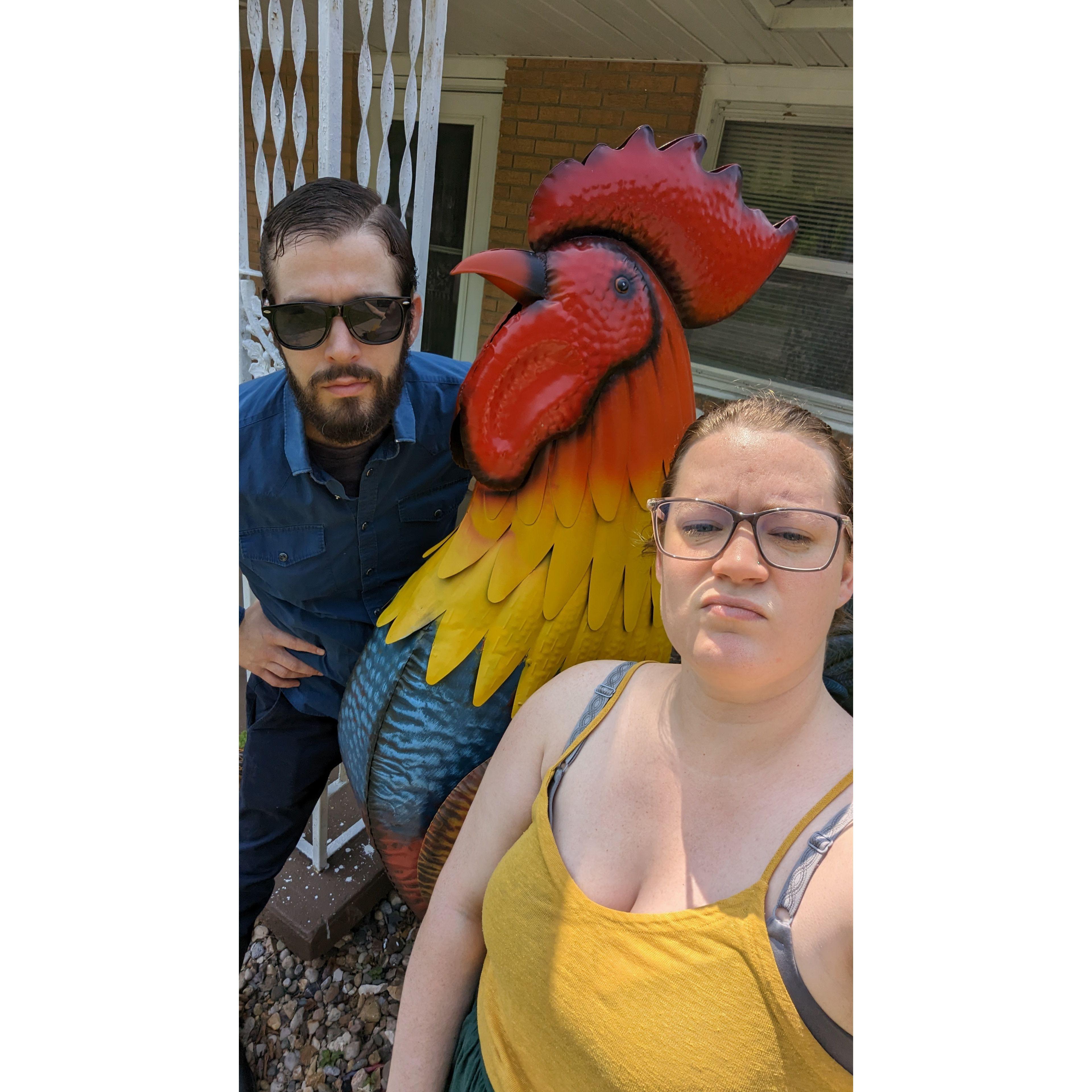 Giant rooster shenanigans