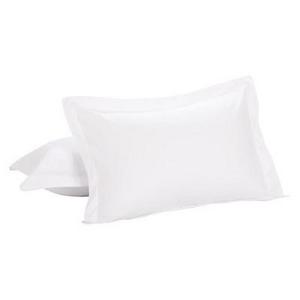 Luxury Hotel 2 Pack Standard Shams - Ivory