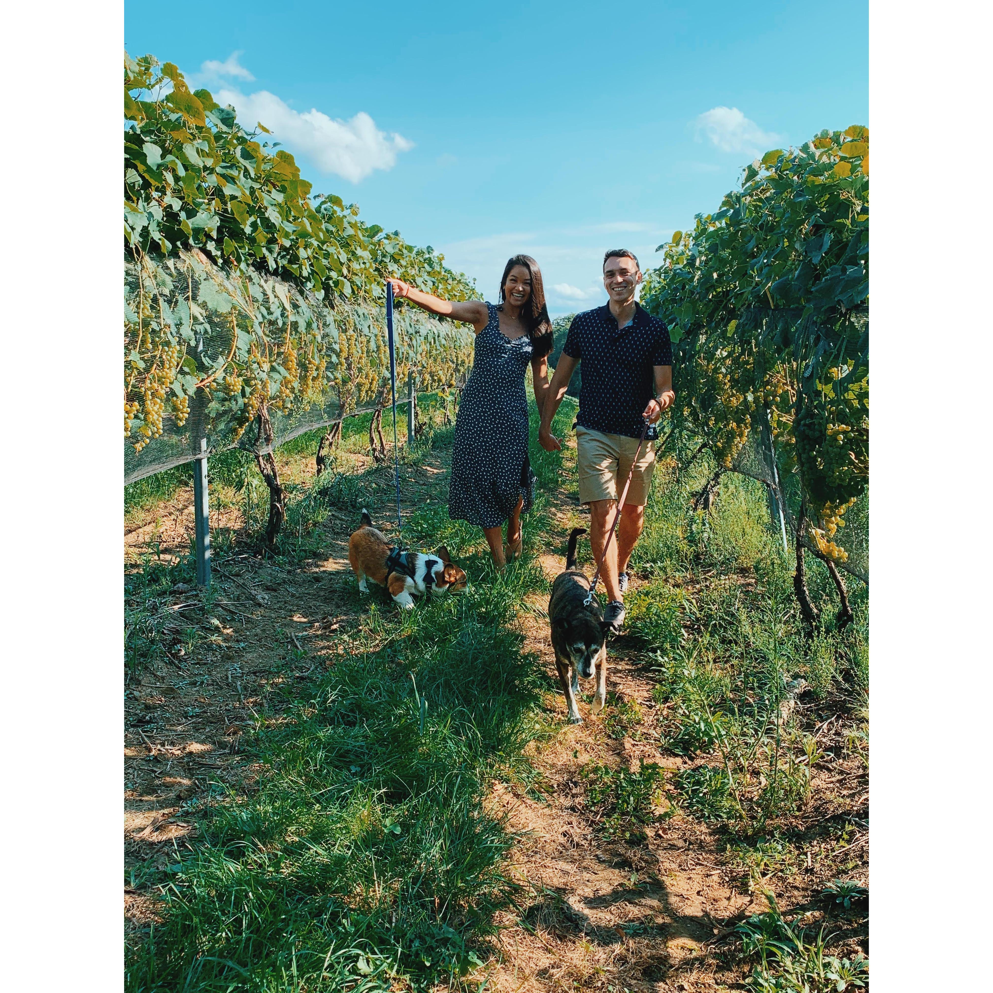 Adventures with Tiger & Flynn part 3